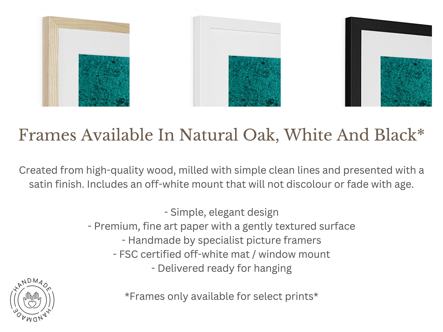 Set of 3 - Shark Bay Western Australia