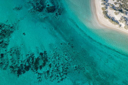 Exmouth Coral Reef