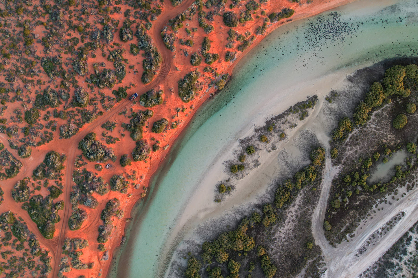 Shark Bay From Above