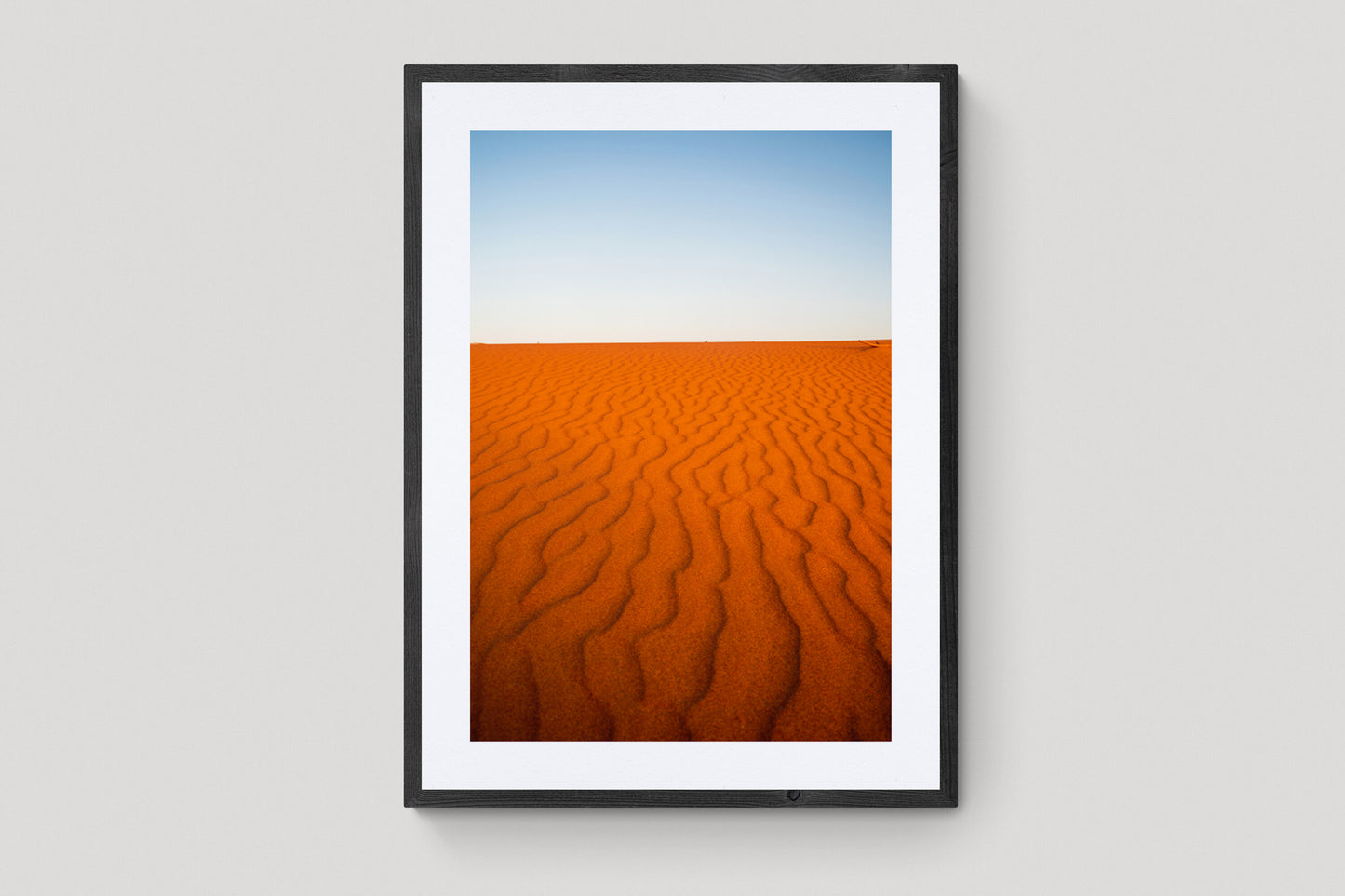 Shark Bay Horizon