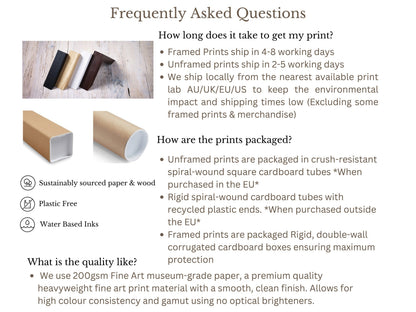 Falling Light - Daintree