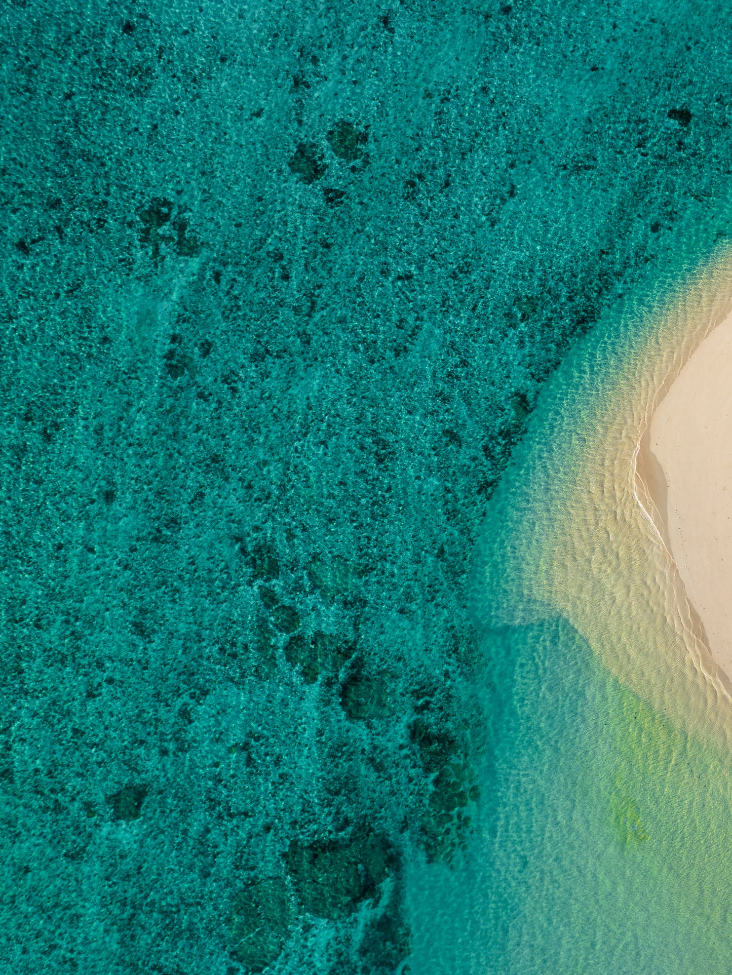 Ningaloo Blue