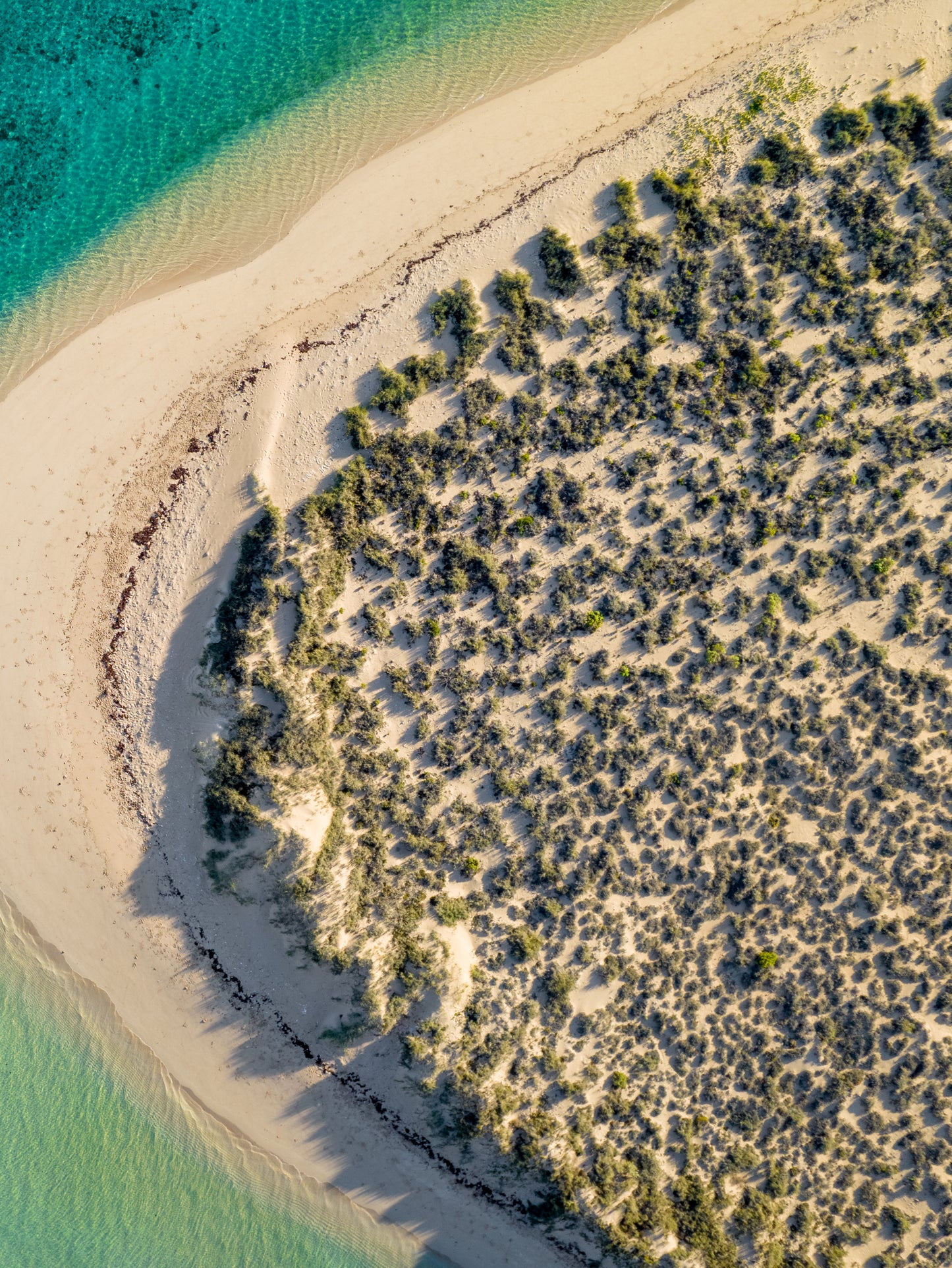 Ningaloo Blue