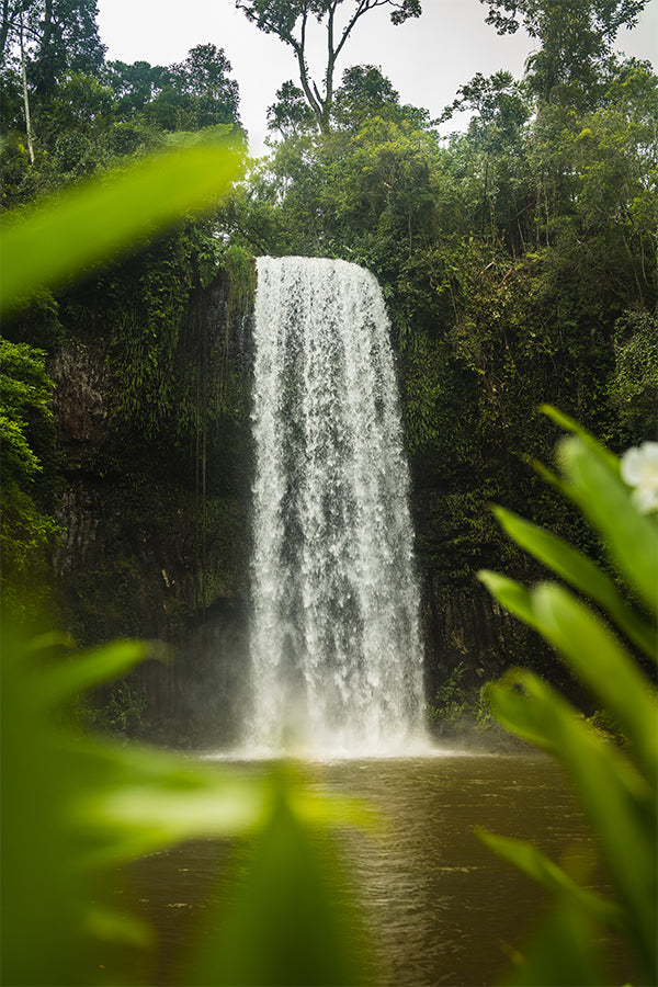 Millaa Millaa Falls