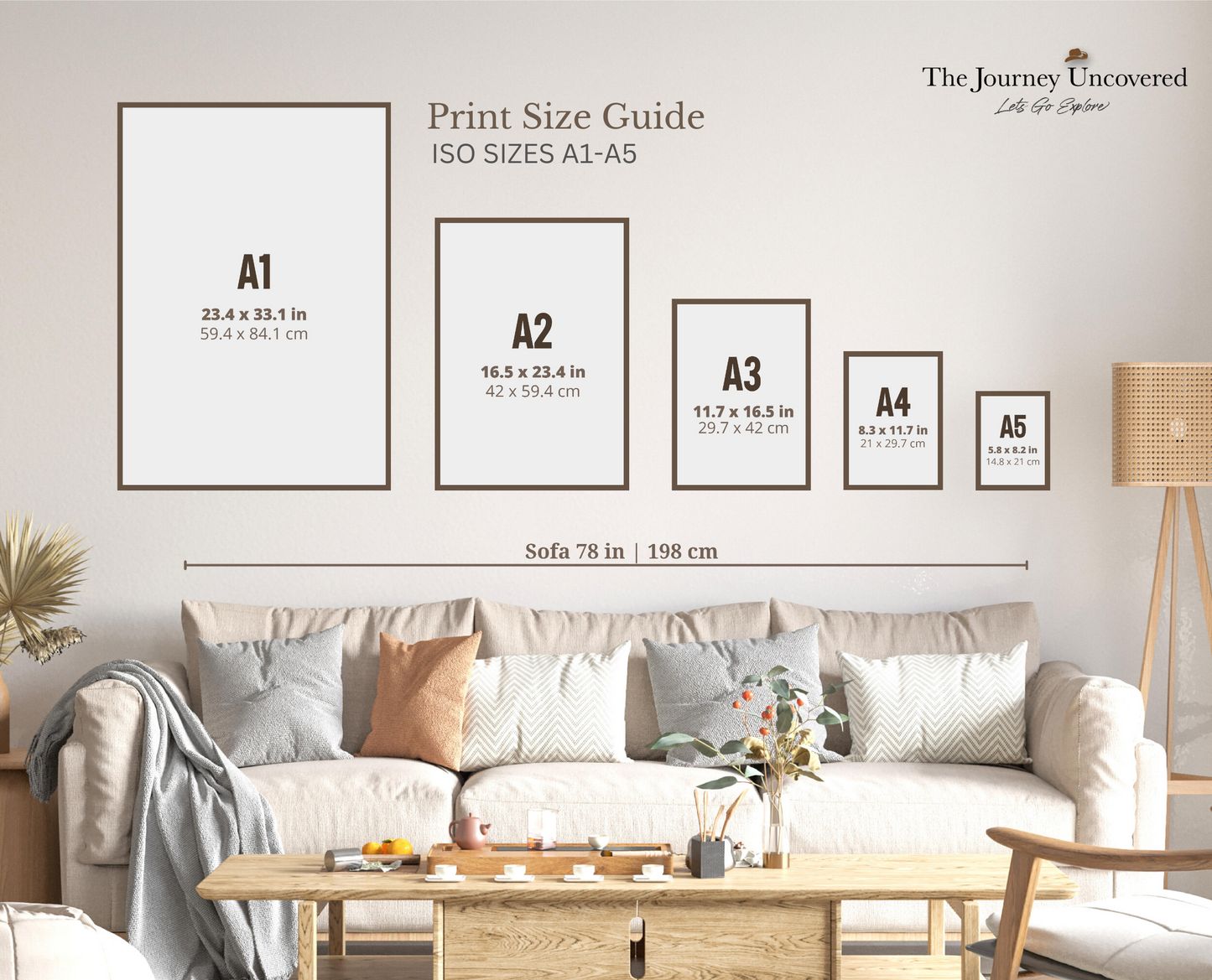 Falling Light - Daintree